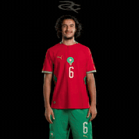 Fifa World Cup Morocco GIF by Respective