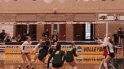 Block Glover GIF by NDSU Athletics