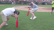 Fall Gocougs GIF by Kane County Cougars