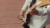This Is Why GIF by Paramore