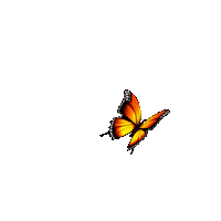 Summer Fly Sticker