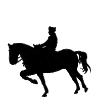 Illustration Horse Sticker by Saumurvaldeloire