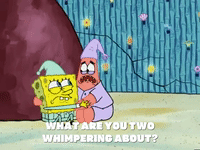 season 5 the original fry cook GIF by SpongeBob SquarePants