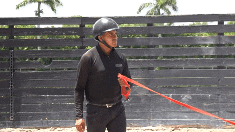 Eye Candy Horse GIF by Eye Candy Jumpers