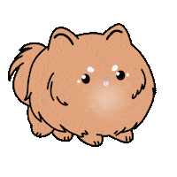 Dog Pomeranian Sticker