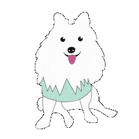 Puppy Pomeranian Sticker