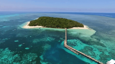 ExperienceCo giphygifmaker paradise gbr tropical island GIF