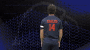 Armscrossed GIF by Carson-Newman Athletics