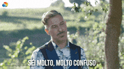 discoveryplusit love discovery confuso discoveryplus GIF