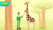 Giraffe Peek GIF by KiKA
