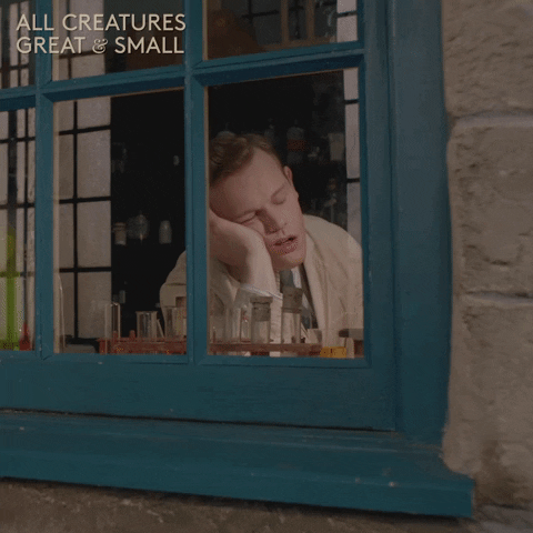 allcreaturestv animals sleeping yorkshire snoring GIF