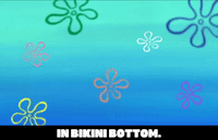 season 6 episode 23 GIF by SpongeBob SquarePants