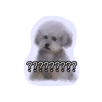 Terence Sticker