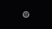 Lion Voyage GIF by Casol