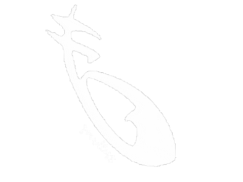 Mortal Instruments Runes Sticker