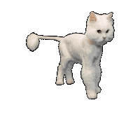 25Cats Sticker by Gray Hat Films