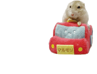 Takehamu0116 Sticker