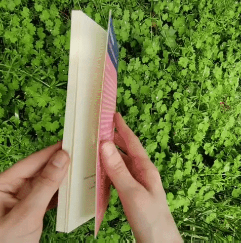 editionslibre  GIF