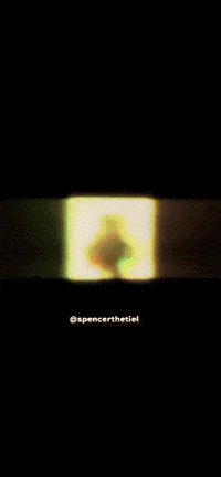 spencerthetiel meme instagram bird pet GIF