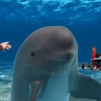 Feels Good Swimming GIF