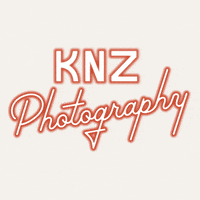KNZPHOTOGRAPHY  GIF