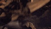 Angry Backflip GIF by Xbox