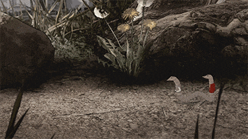 mark duplass cats GIF by Animals