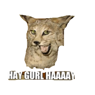 hey STICKER by imoji