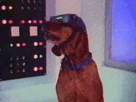 vhs GIF