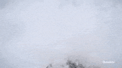 sport love GIF by Outside TV