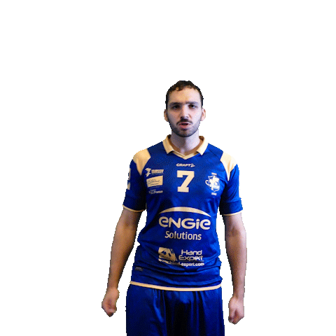 Sport Celebrating Sticker by Massy Essonne Handball