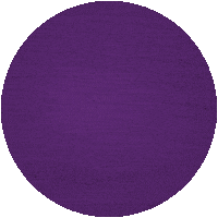 Festa Da Uva Sticker by Festa da Nacional da Uva