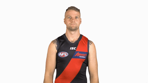 essendonfc giphyupload jake dons bombers GIF