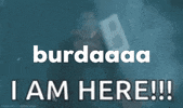 GESCAD burdayim GIF