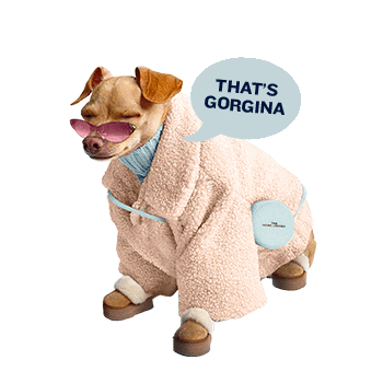 Dog Sticker by Zappos