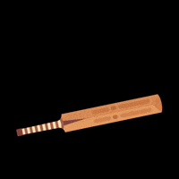 Game Night Cricket GIF by Parle Products