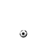 Football Soccer Sticker by Hublot