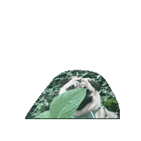 Hiding Shame Sticker