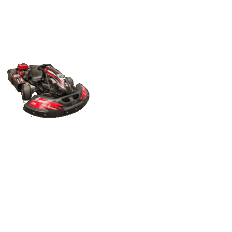 Racing Driving Sticker by circuitparkberghem