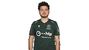 Hannover 96 Sign Sticker by Bundesliga
