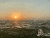 Water Sun GIF by A-ROSA Kreuzfahrten