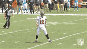 Regular Season Football GIF by NFL