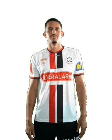 Schmidt Admira Sticker by KSV1919