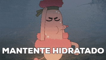 Cartoon Network GIF by CNLA