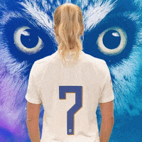 National Team Football GIF by Suomen jalkapallo- ja futsalmaajoukkueet