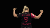 dhcplzen  GIF