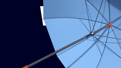 Soccer Weather GIF by NYCFC