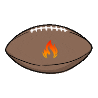 Superbowl Champ Sticker by Fireball