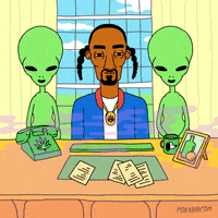 Hip Hop Lol GIF by gifnews