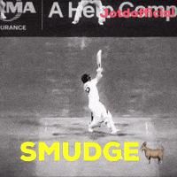 Virat Kohli Smith GIF